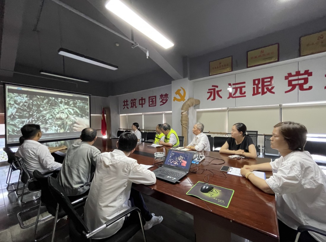 石鼓文化联合党支部召开“弘扬...